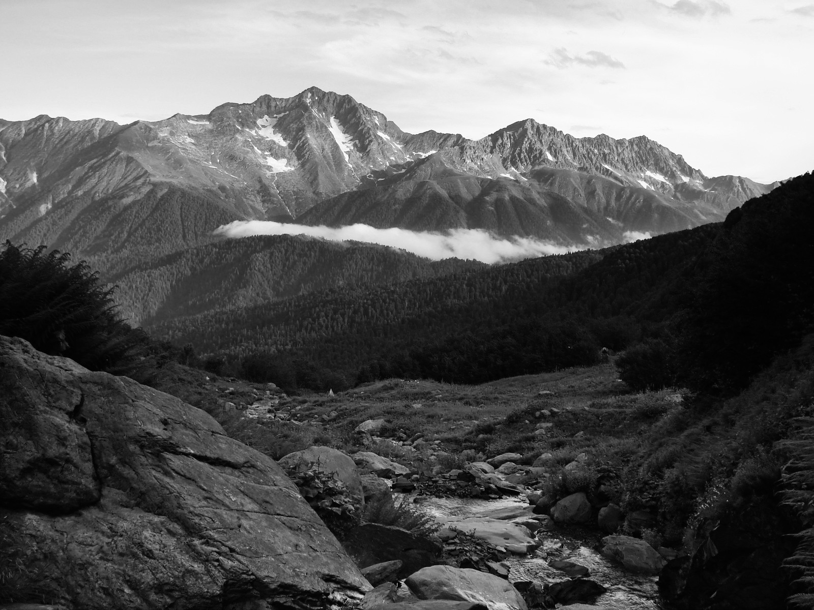 Miniatiūrinės mumijos iš San Pedro kalnų mįslė - AIDAI